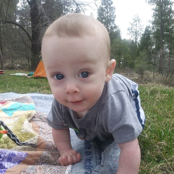 Meet your Posher, Lori - Picture 1 of 1